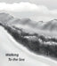 Walking to The Sea by Steve Starr, Steve Starr