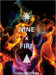 NINE x FIRE: Transformation through fire by Shahabodinn Gharavi