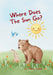 Where Does the Sun Go? by Mary Colain
