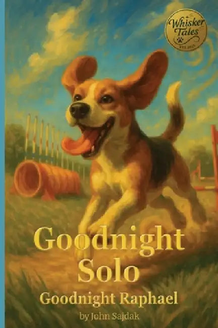 Goodnight Solo / Goodnight Raphael by John Sajdak