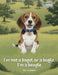 I'm Not a Bagel or a Bugle, I'm a Beagle by Lucero Quiroga Marin