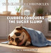 Clubber Conquers the Sugar Slump by Stacy Moutafis