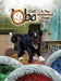 Oba the Cat & The Mysterious Rings by Michael Solomon