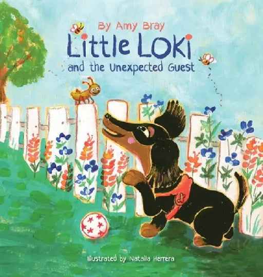 Little Loki and the Unexpected Guest by Amy Bray