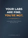 Your Labs Are Fine. You're Not.: Understanding the Mineral Deficiencies Your Doctor Can't See by Joy Stephenson-Laws, Pauline Jose