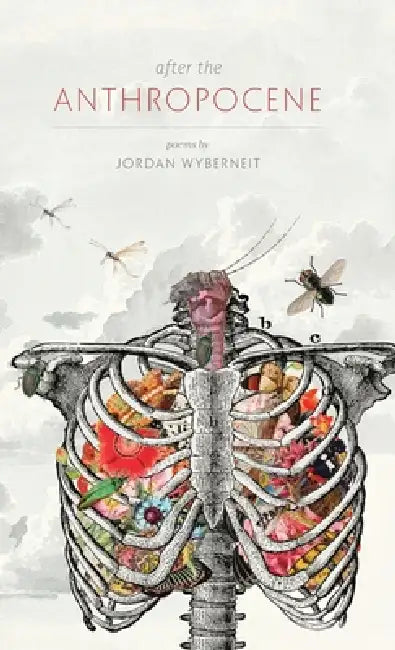 After the Anthropocene by Jordan Wyberneit