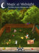 Magic at Midnight: The Hidden Secrets of Animals After Dark by Lauren Michels