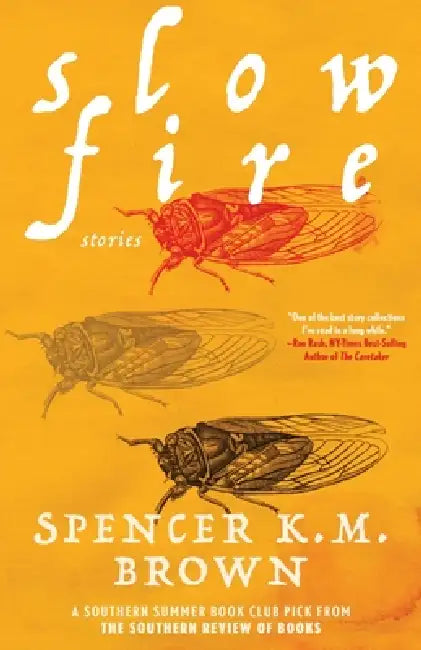 Slow Fire by Spencer K. M. Brown