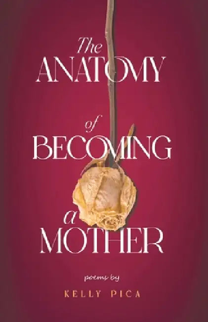 The Anatomy of Becoming a Mother by Kelly Pica, Shelby Leigh, Sehrish Kanwal
