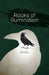 Rooks of Rumination by David Stiller