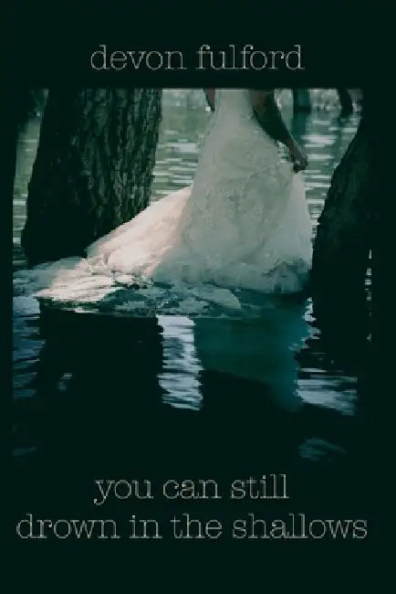 you can still drown in the shallows by Devon Fulford, Michele McDannold, Faith Danielle