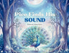 Pico Finds His Sound by Chanel Jones, Karen Jones