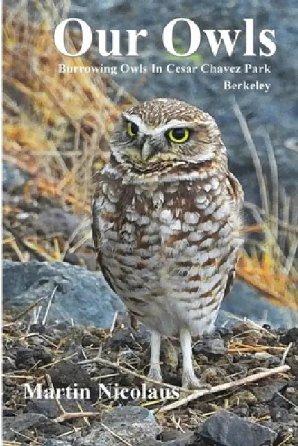Our Owls: Burrowing Owls in Cesar Chavez Park, Berkeley by Martin A. Nicolaus
