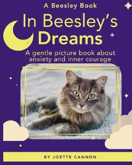 In Beesley's Dreams: A gentle picture book about anxiety and inner courage by Joette Cannon