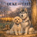Duke and Leia: A Story for Brave Military Families by Tey Van Jaarsveld