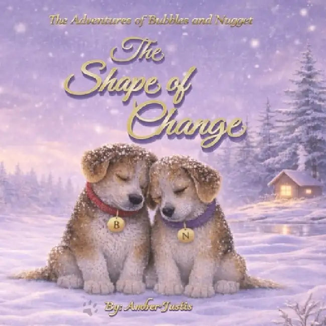 The Shape of Change by Amber Justis