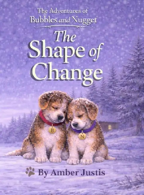 The Shape of Change by Amber Justis