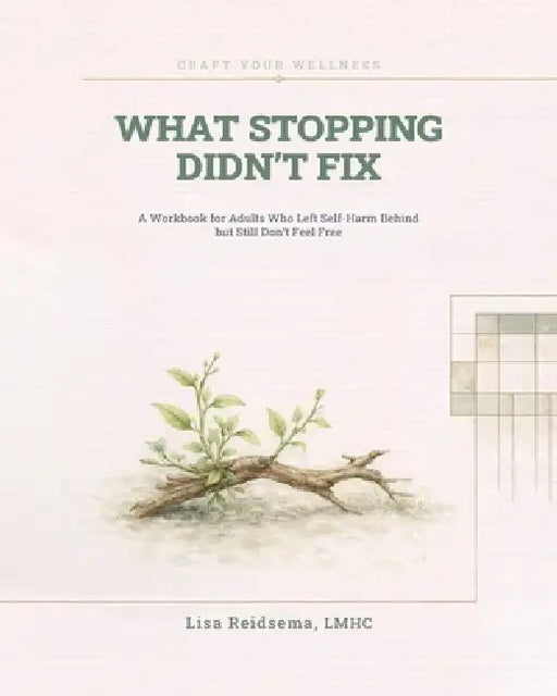 What Stopping Didn't Fix by Lisa Reidsema