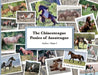 The Chincoteague Ponies of Assateague: Volume I Stallions by Amanda Geci, Linda Insley, Rebekah Hart
