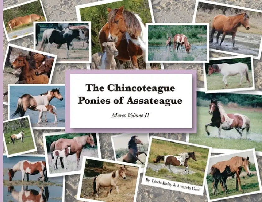 The Chincoteague Ponies of Assateague: Volume II Mares by Amanda Geci, Linda Insley, Rebekah Hart