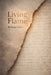 Living Flame by Shraga Golany, Mordechai Golany, Mordechai Golany