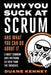 Why You Suck at Scrum - And What You Can Do about It: 9 Most Common Anti-Patterns As Seen From The Trenches by Duane Kenney
