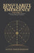 SINGULARITY DUAL-ASPECT EMERGENCE Volume II SDAE 2.0 Laws1 the Master Equation1 and the Holofractal Companion A Technical Metaphysical Companion to Si by Aston Gustavous Farquharson