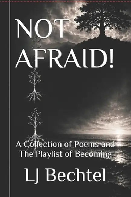 Not Afraid!: A Collection of Poems and The Playlist of Becoming by Kyle Edwards, Elizabeth M. Pierce, Law 'Rence