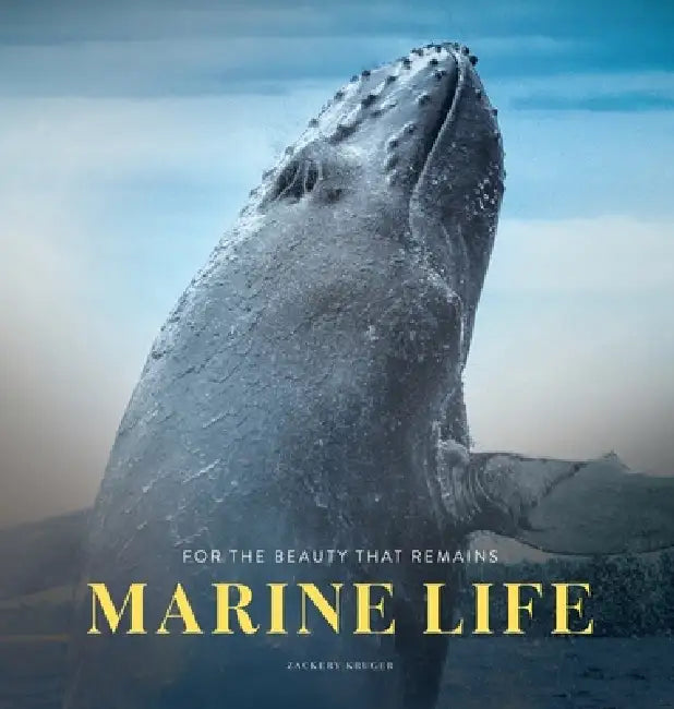Marine Life by Zackery Kruger
