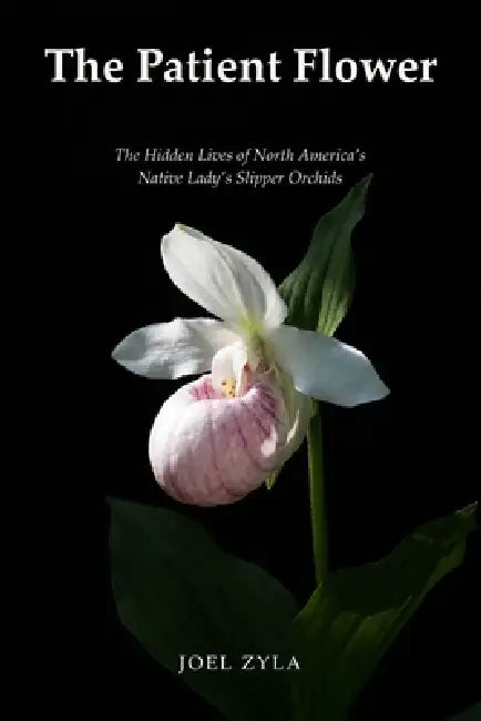 The Patient Flower: The Hidden Lives of North America's Native Lady's Slipper Orchids by Joel Zyla