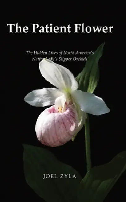The Patient Flower: The Hidden Lives of North America's Native Lady's Slipper by Zyla