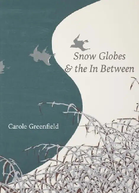 Snow Globes & the In Between by Carole Greenfield