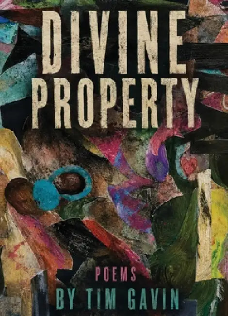 Divine Property by Tim Gavin