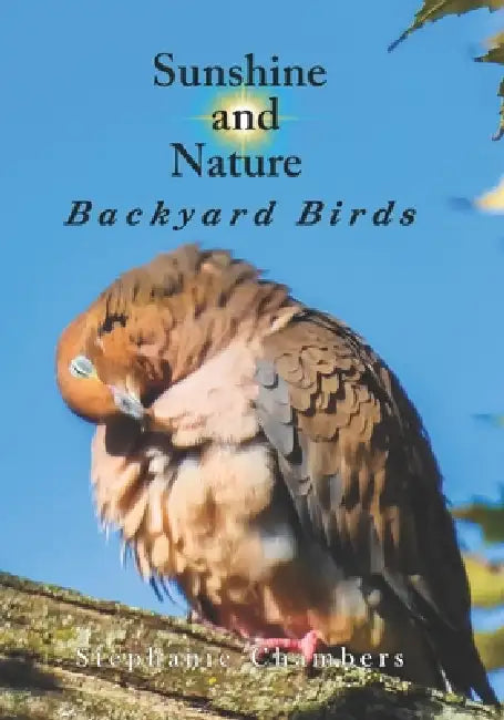Sunshine and Nature: Backyard Birds by Stephanie Chambers