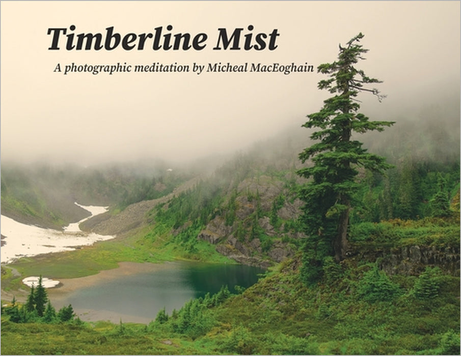 Timberline Mist by Micheal Maceoghain