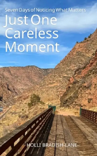 Just One Careless Moment by Holli Bradish-Lane