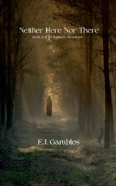 Neither Here Nor There by E. J. Gambles