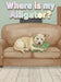 Where is my Alligator? by Sarah Shelton