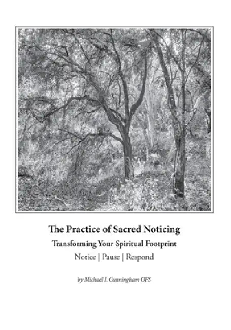 The Practice of Sacred Noticing: How to Transform Your Spiritual Footprint by Michael J. Cunningham