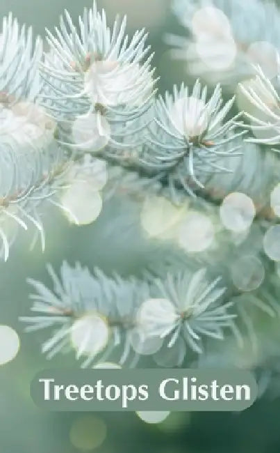 Treetops Glisten by Maria Glymph