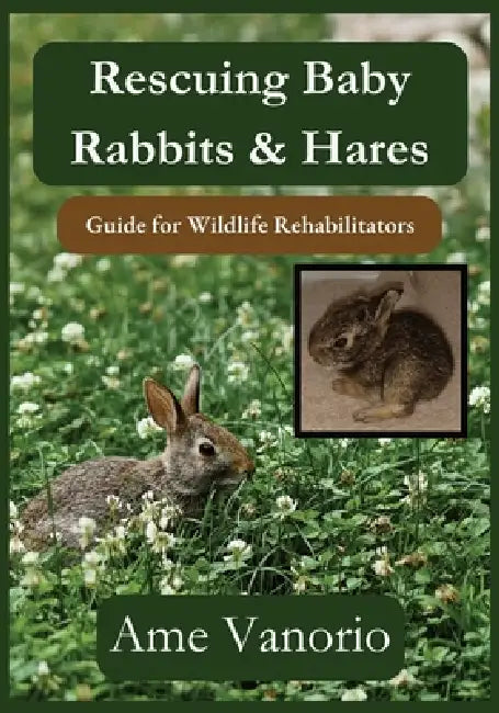 Rescuing Baby Rabbits & Hares: Guide for Wildlife Rehabilitators by Ame Vanorio