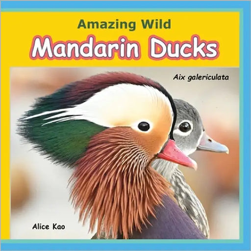 Amazing Wild Mandarin Ducks by Kao, Alice