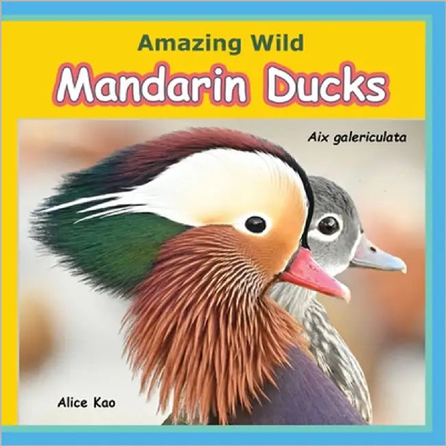 Amazing Wild Mandarin Ducks by Kao, Alice