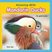 Amazing Wild Mandarin Ducks by Kao, Alice