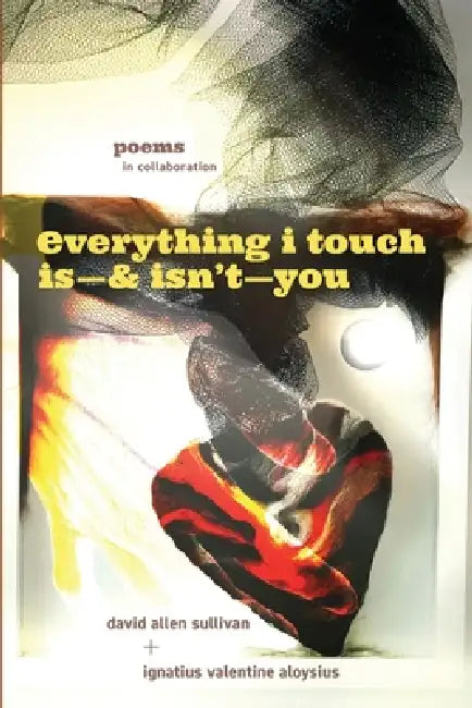 Everything I Touch Is-& Isn't-You by David Allen Sullivan, Ignatius Valentine Aloysius, Michele McDannold
