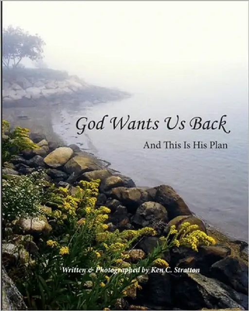 God Wants Us Back - And This Is His Plan by Stratton, Ken