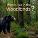 What Lives in the Woodlands? by Rachel Worden