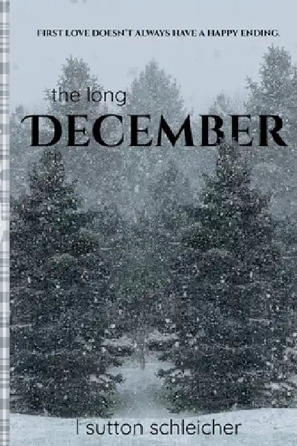 The Long December by L. Sutton Schleicher