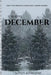 The Long December by L. Sutton Schleicher